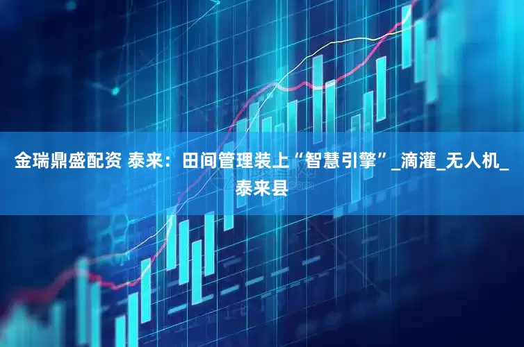 金瑞鼎盛配资 泰来：田间管理装上“智慧引擎”_滴灌_无人机_泰来县