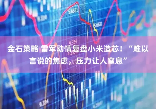 金石策略 雷军动情复盘小米造芯！“难以言说的焦虑，压力让人窒息”
